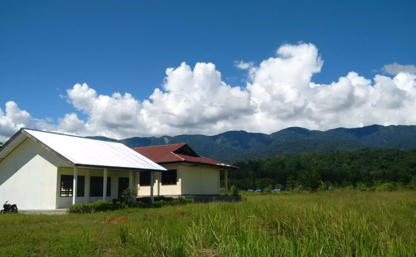 Sekolah di Tengah Sawah: Harmoni Pendidikan, Alam, dan Tradisi Lokal